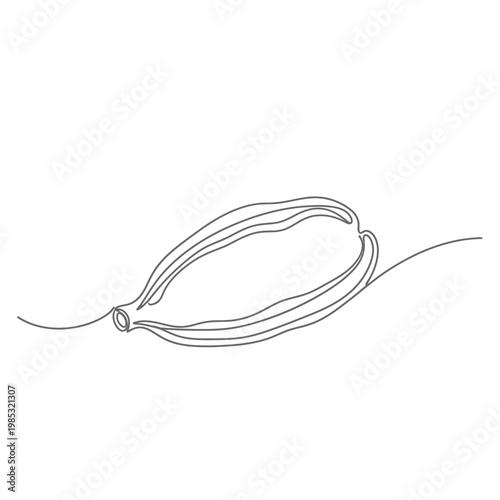Minimalist Green Cardamom Pod Continuous Line Art for Premium Spices and Chai Tea Branding
