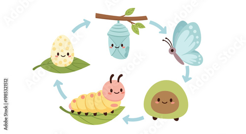 Cute Cartoon Butterfly Life Cycle Stages.