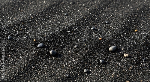 Dark volcanic sand grains form a textured landscape with scattered.
