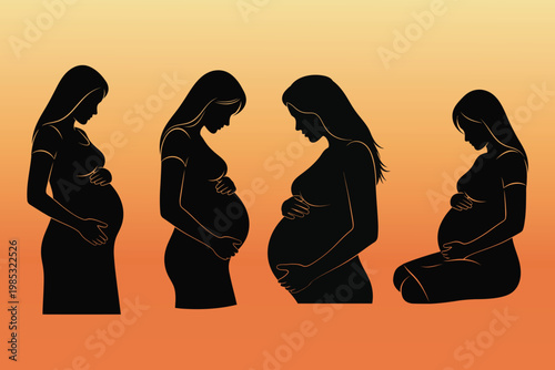 Pregnancy progression a silhouette series depicting the changing maternal form