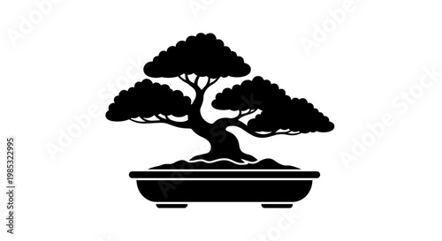 Bonsai Tree in a Pot.