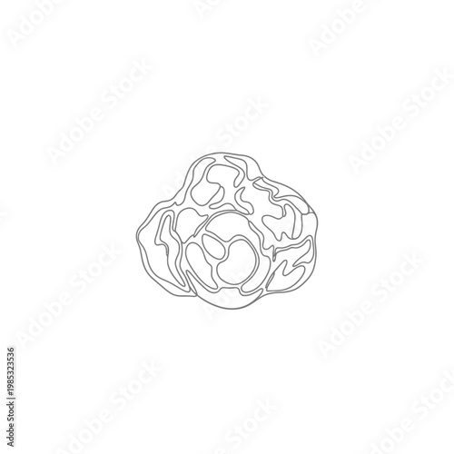 Continuous Line Art of Benzoin Resin Lump, Natural Incense Vector Illustration for Spiritual Aromatherapy