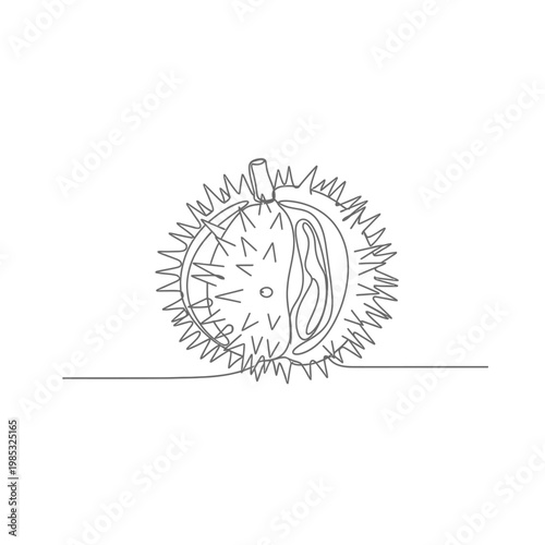 Minimalist Continuous Line Art Castor Bean Pod for Holistic Hair and Skin Care Concept