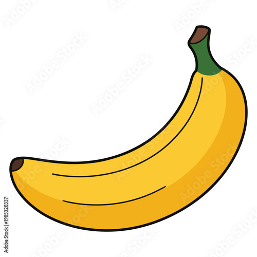 illustration of banana