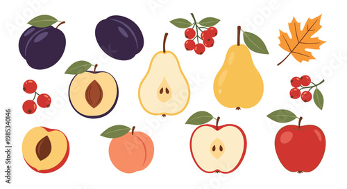 Assorted autumn fruits including red apples, yellow pears, purple plums, and berries are arranged with a single maple leaf on a white backdrop.