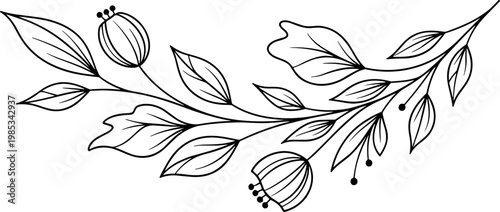 Botanical Branch Outline Drawing, Minimalist Floral Art, Hand Drawn Leaves and Flowers