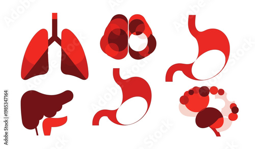 Abstract red human organ icons representing lungs brain stomach and liver for medical and health concepts