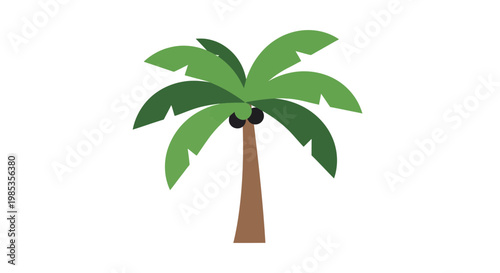 Vibrant Cartoon Palm Tree with Coconuts on White Background