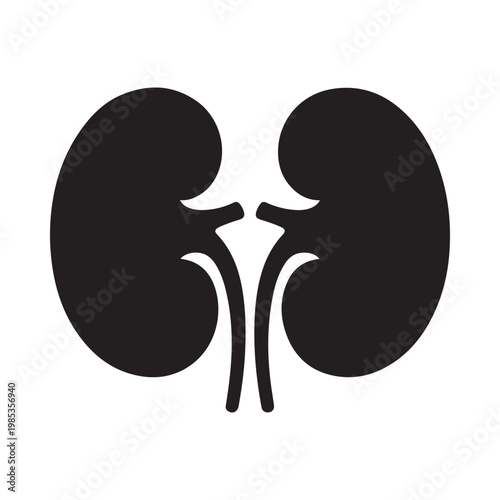 Simple black and white illustration depicting a pair of human kidneys with connecting tubes