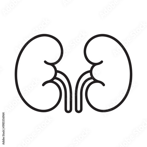 A simple black and white line drawing depicting a pair of human kidneys in anatomical position