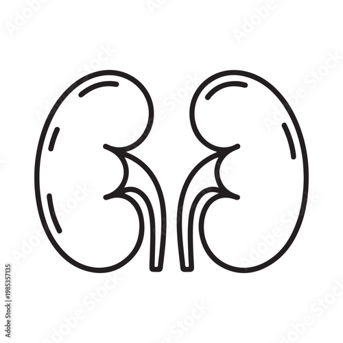 Simple black and white illustration of two human kidneys side by side outline style