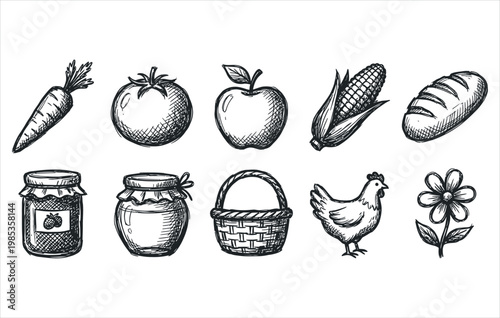 Farm to table groceries and artisanal food preserves hand drawn engraving