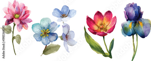 bouquet of colorful flowers