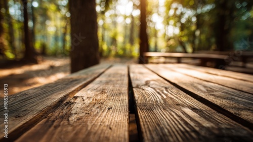 Weathered Wooden Picnic Table in a Sun-Dappled Forest Clearing with Golden Hour Sunlight Casting Long Shadows Across the Natural Landscape