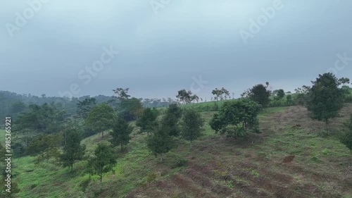 Cinematic drone camera moves forward slowly, revealing a vast expanse of rolling green hills and pristine tropical mountain ridges