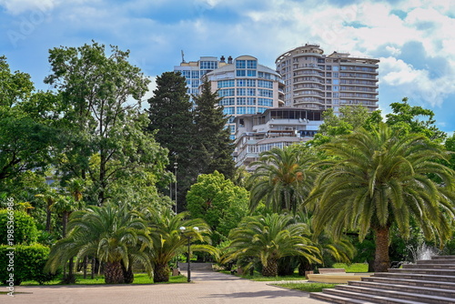 Green park with palm trees near residential buildings in Sochi, Krasnodar region of Russia