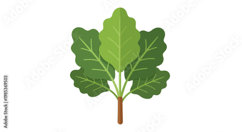 Fresh Green Leaves Plant Vector Illustration Isolated on White Background