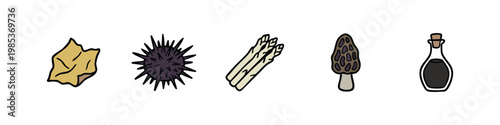 Hand-drawn set of gourmet and fresh culinary ingredients icons: wavy sheet, sea urchin, asparagus, morel, and sauce bottle.