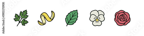 Herbs and Edible Flowers Icons: Parsley, Lemon Peel, Mint, Pansy, Rose