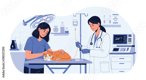 Two female veterinary professionals providing medical treatment to a sick ginger cat lying on an examination table in a clinic.