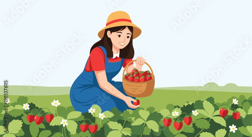 Young woman in a straw hat picking fresh red strawberries in a green field under a clear blue sky on a sunny day.