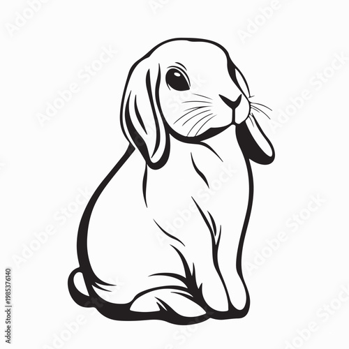 Cute French Lop Rabbit Sitting Vector Illustration On White Background
