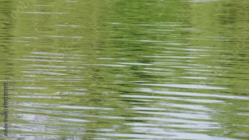 Southern Urals in summer, Yuryuzan River, fishing: float on the water.