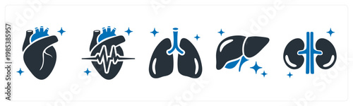 A set of 5 mix icons as heart, lungs, liver