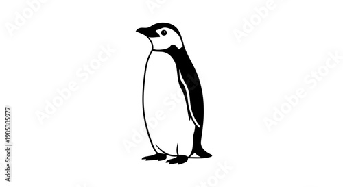 Penguin standing alone in black and white.