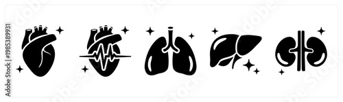 A set of 5 mix icons as heart, lungs, liver