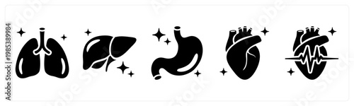 A set of 5 mix icons as lungs, liver, stomach