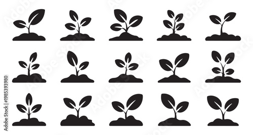 Seed germination and plant development silhouette collection