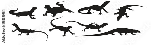 Set of lizard vector illustration