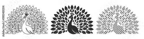 Peacock vector icons set, elegant bird silhouettes with open tail feathers, black and white peacock line art illustrations for logo design
