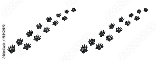 Black bear paw prints vector trail, wild animal footprint track silhouettes, grizzly bear walking path icons on white background