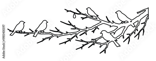Minimalist bird line art vector, black and white sparrow silhouettes on tree branch, elegant nature illustration for wall decor and laser cutting