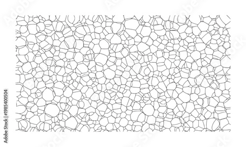 Black outline of interconnected irregular polygons white abstract pattern texture