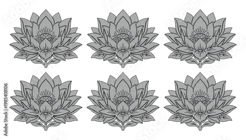 Lotus flower vector set, 6 grey water lily icons with detailed petals, elegant floral botanical illustrations for spa and wellness branding