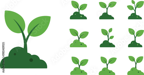 New growth and plant cultivation icons representing the life cycle of a sprout from seedling to mature plant
