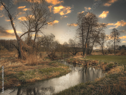 Spring on the small Grabia River, Poland.