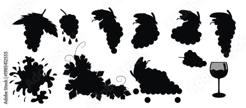 Set of Grape vector illustration