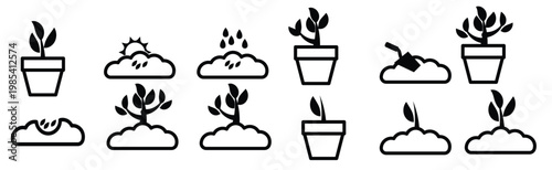 grow up plant icon vector