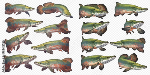 Set of various illustrations of prehistoric fish on a transparent background.
