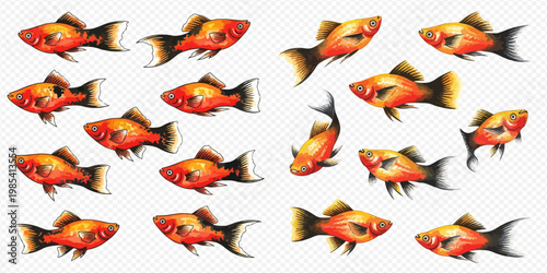 Set of cute cartoon platy fish, vector illustration of aquatic animals.