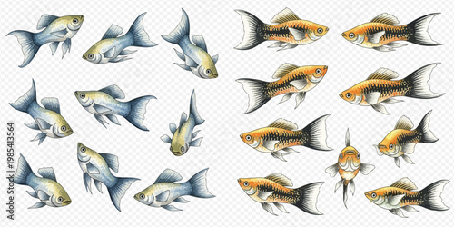 Set of colorful fish illustrations in various poses and angles on a transparent background.