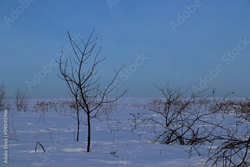 Landscape, Russian plain, Russian winter evening landscape