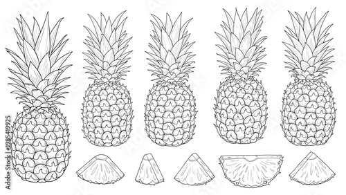 Detailed line art illustration of whole pineapples with leafy crowns and various slices and chunks for tropical fruit themes.