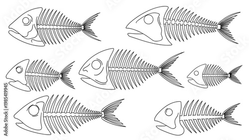 Collection of different fish skeleton illustrations in various sizes and shapes with detailed bone structures and spines in line art style.