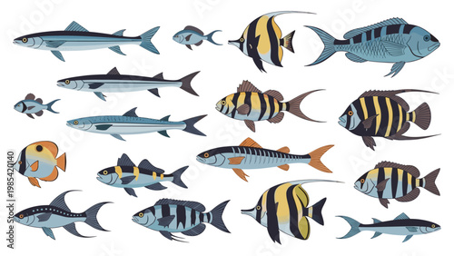 Tropical fish collection showcases a wide variety of colorful saltwater species with different fin shapes and vibrant patterns for sea life.