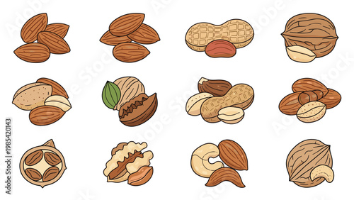 Assorted nut variety pack illustrates different types of snacks like almonds peanuts and walnuts in their shells and peeled for food designs.